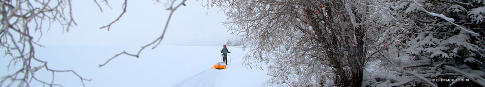 Alaska Conservation Foundation