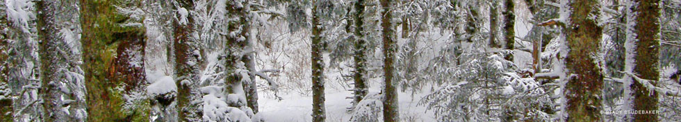 Alaska Conservation Foundation