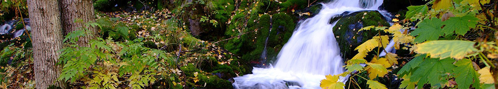 Alaska Conservation Foundation