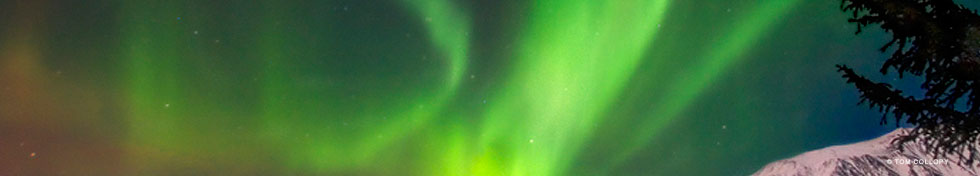 Alaska Conservation Foundation