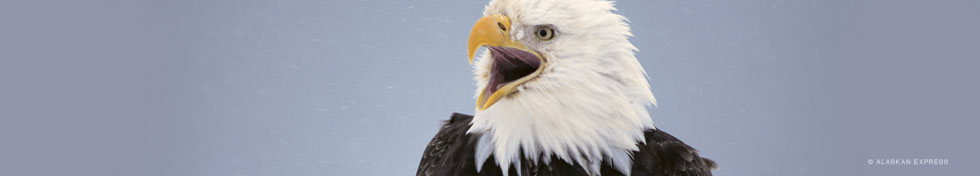 Alaska Conservation Foundation