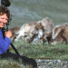 Leanne Allison and Diana Wilson for Being Caribou - 2006 Houseberg Award winners thumbnail
