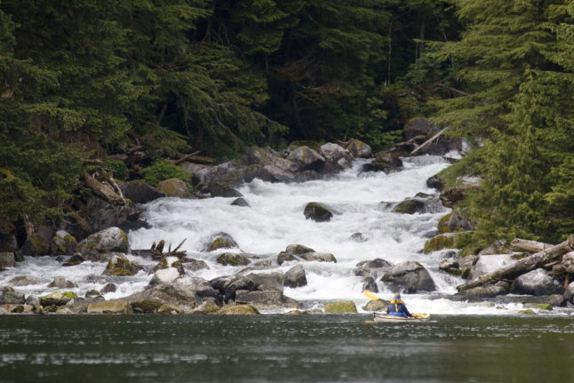 Tongass National Forest ©Damion Brook Kintz