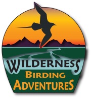 Wilderness Birding Adventures