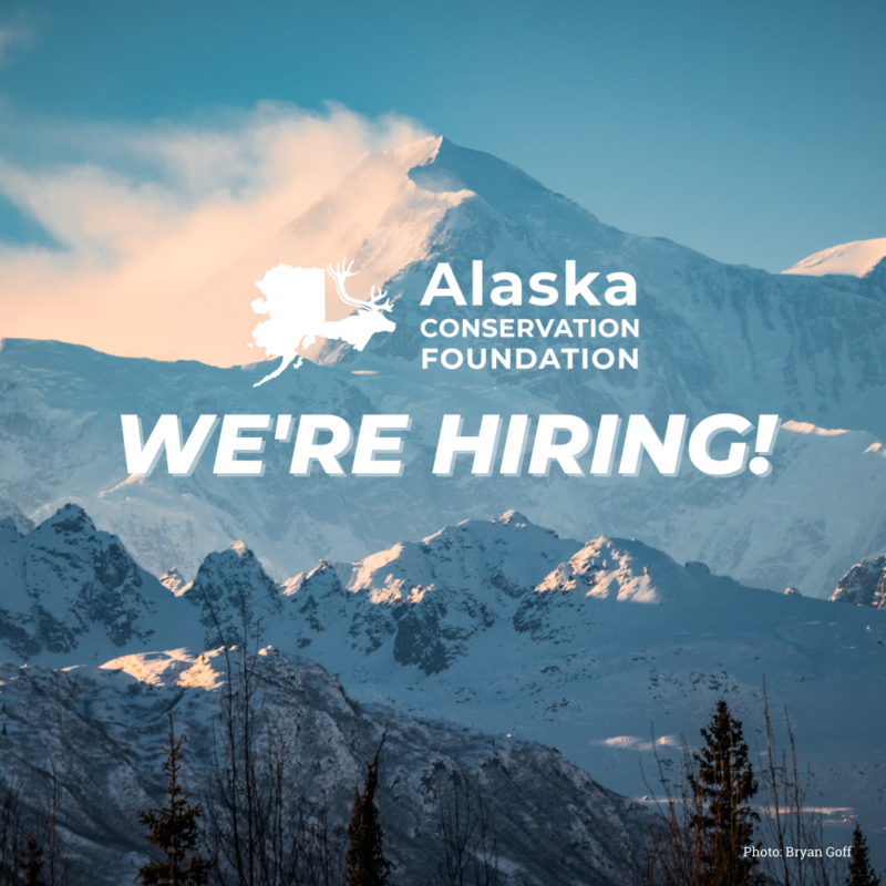 We’re Hiring! | Alaska Conservation Foundation