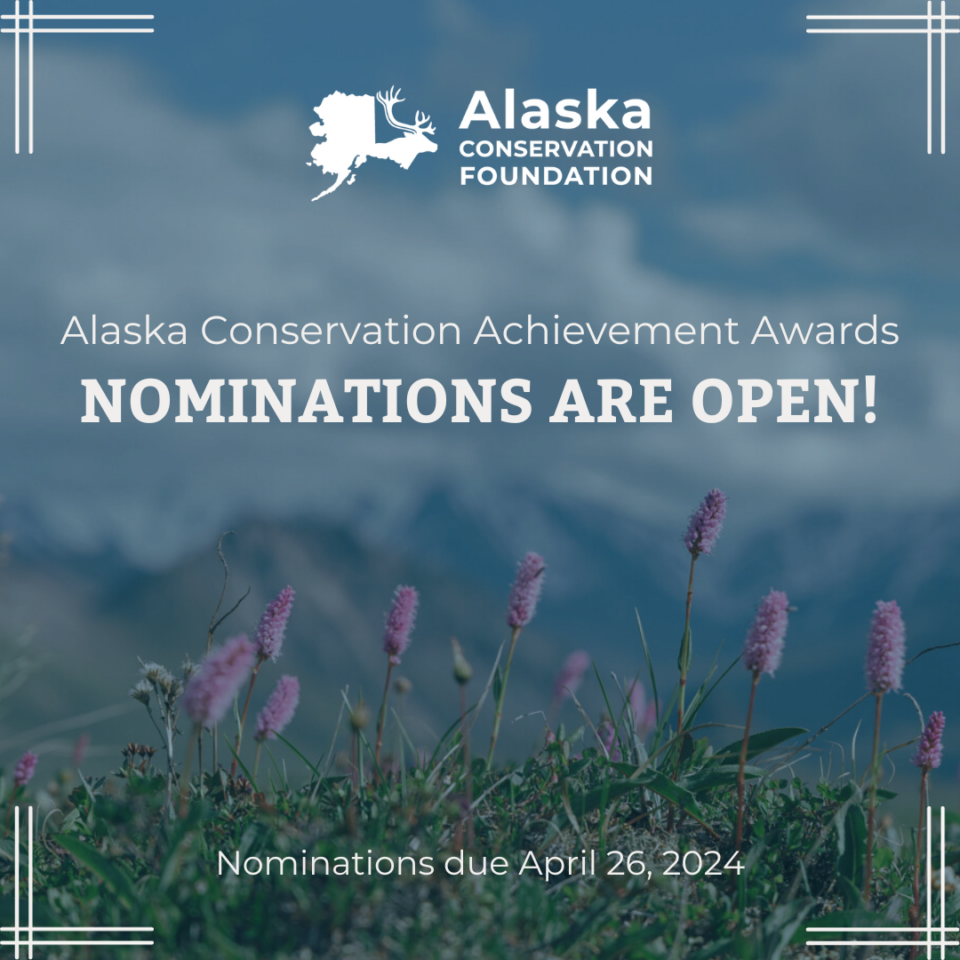 Building strategic leadership and support for Alaska's environment.